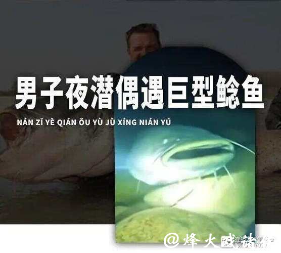 男子夜潜12米深水库，偶遇巨型鲶鱼，鱼嘴比人头都宽！网友：这鱼会吃小孩！